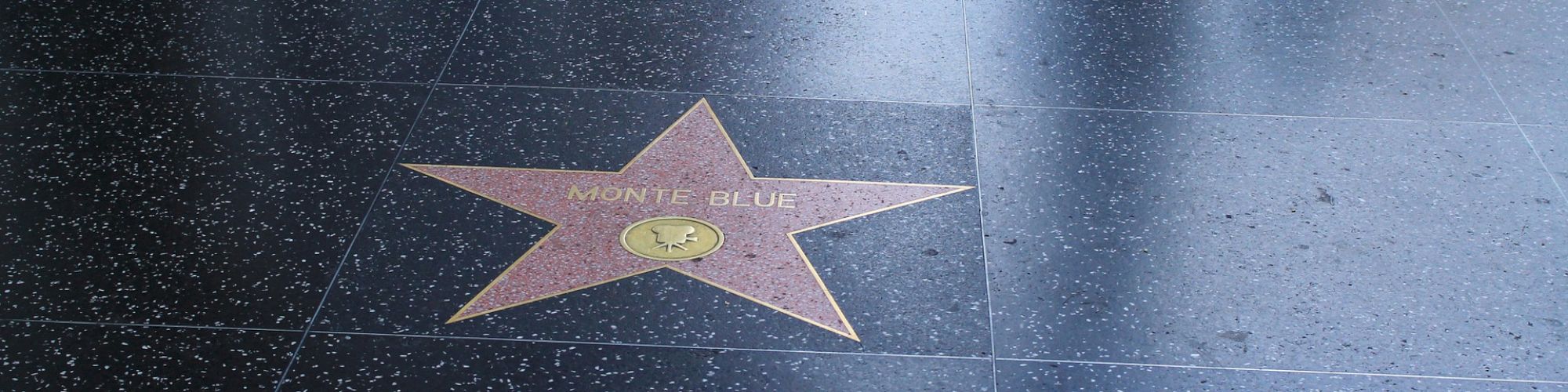 The image depicts stars embedded in a sidewalk, similar to those found on the Hollywood Walk of Fame, with one visible star labeled 